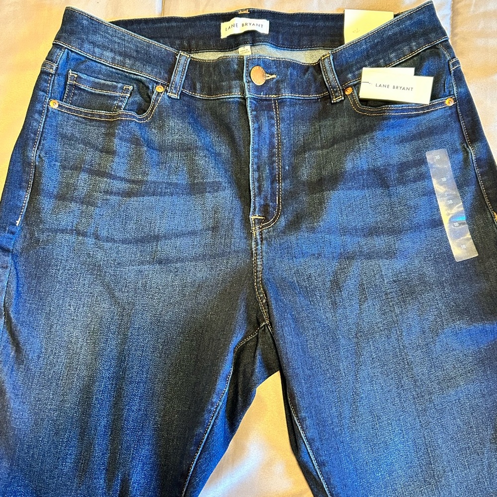 Lane Bryant Skinny Jeans